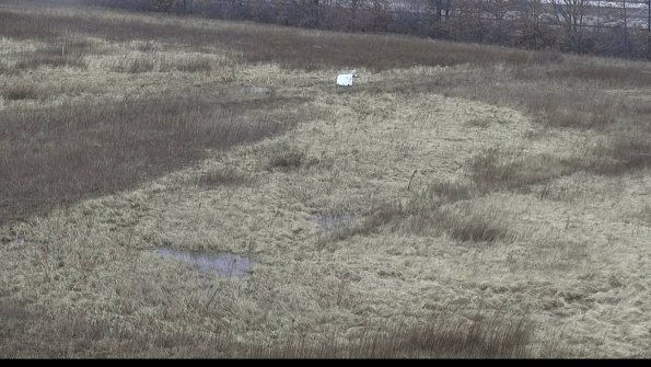 capture-6-23-01-20_11-07-20-45