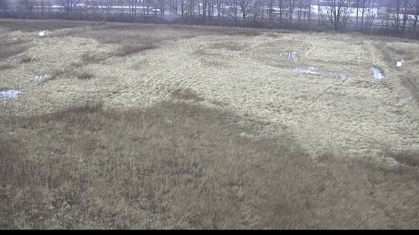 capture-8-23-01-20_11-17-19-75