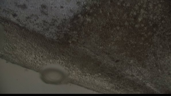 capture-15-23-02-23_13-25-21-47