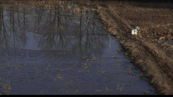 capture-10-23-03-01_08-08-51-51