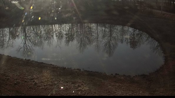 capture-14-23-03-01_08-10-16-46