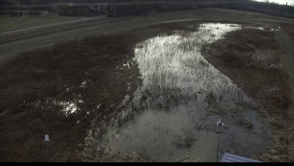 capture-3-23-03-01_16-06-52-38