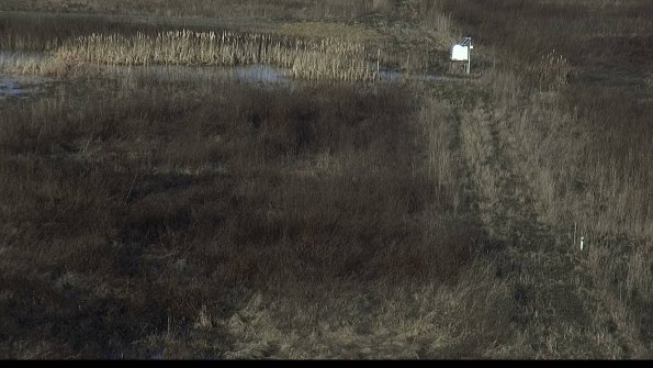 capture-4-23-03-01_08-06-00-94