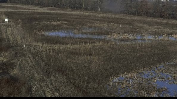 capture-5-23-03-01_08-05-49-59