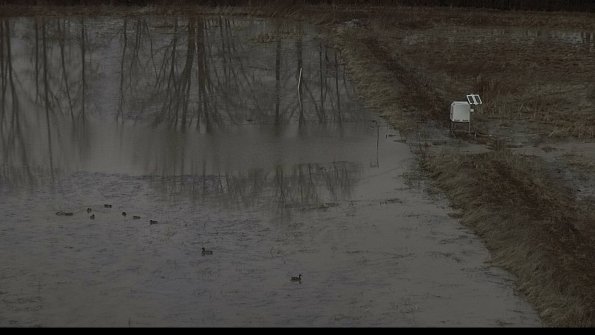 capture-10-23-03-04_10-01-56-88