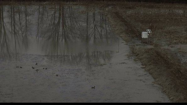 capture-10-23-03-04_10-02-04-68