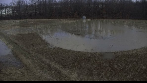 capture-11-23-03-04_11-51-13-75