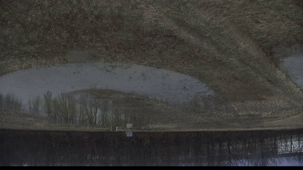 capture-11-23-03-06_15-16-46-55