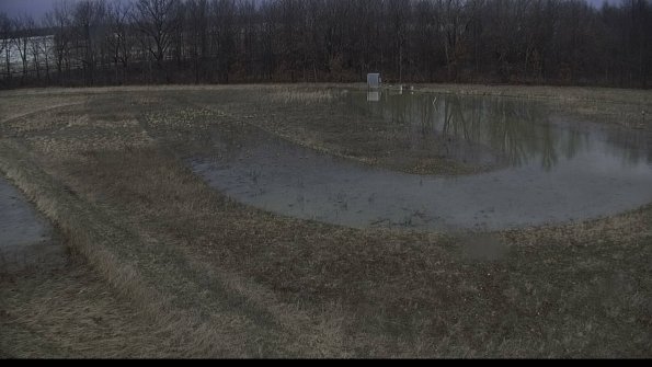 capture-11-23-03-06_16-00-43-26