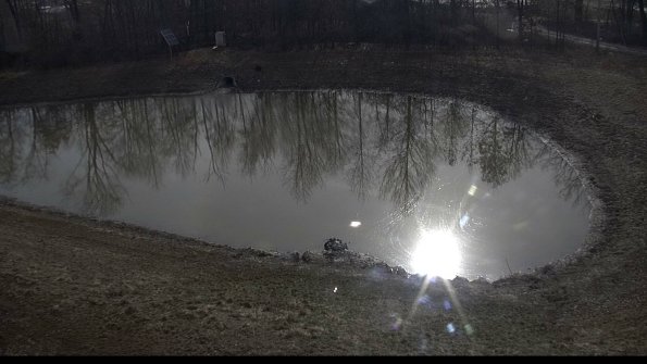 capture-14-23-03-06_10-01-12-67