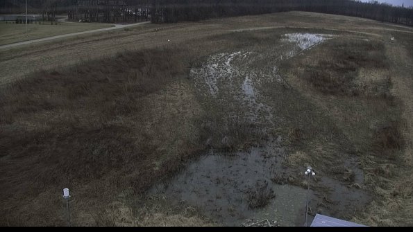 capture-3-23-03-06_14-55-20-02