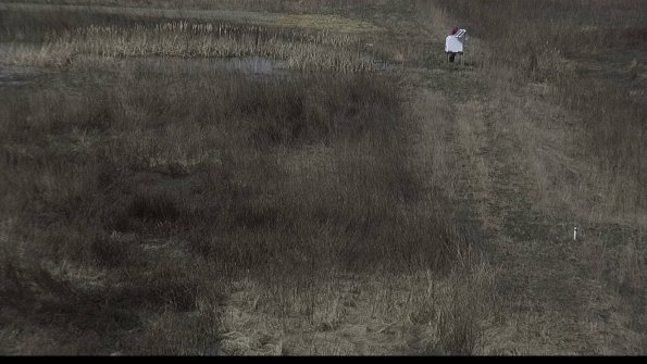 capture-4-23-03-06_10-58-58-32