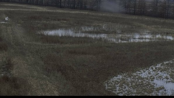 capture-5-23-03-06_08-39-58-02