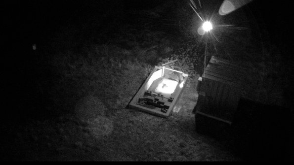 capture-2-23-03-20_06-59-59-96