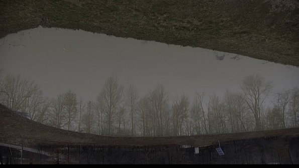 capture-14-23-03-23_18-03-01-53