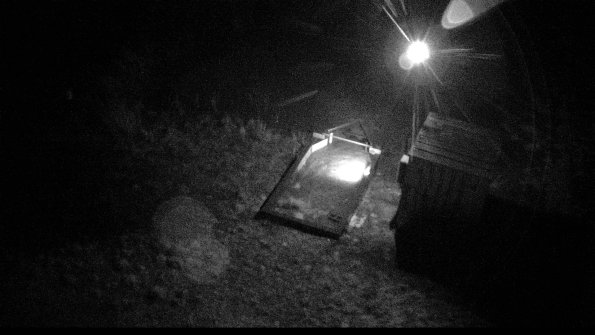 capture-2-23-03-25_06-59-59-30