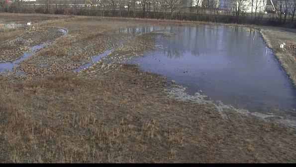 capture-8-23-03-28_08-39-33-43