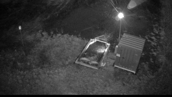 capture-2-23-03-29_06-59-59-99