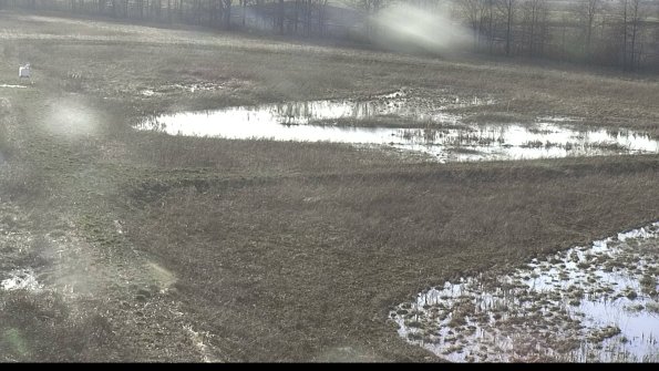 capture-5-23-04-02_18-55-13-15