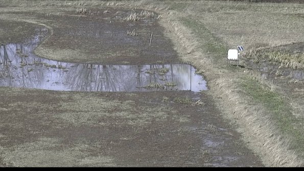 capture-10-23-04-10_14-38-45-65