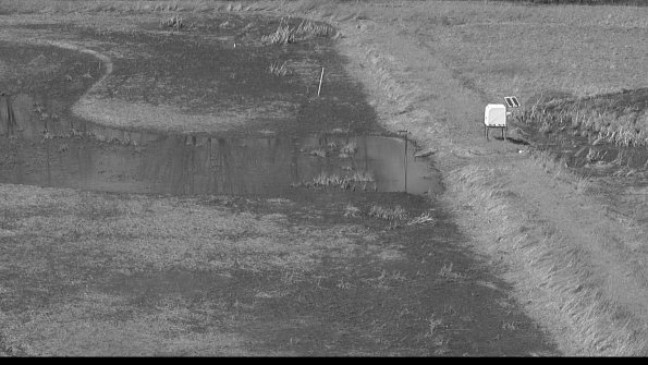 capture-10-23-04-13_15-19-25-68