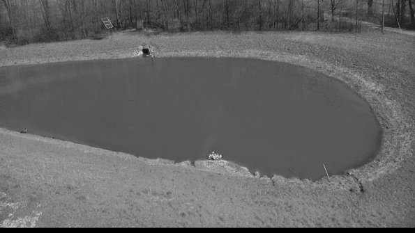 capture-14-23-04-13_15-19-43-27