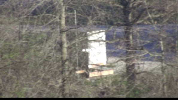 capture-1-23-04-15_19-03-51-11