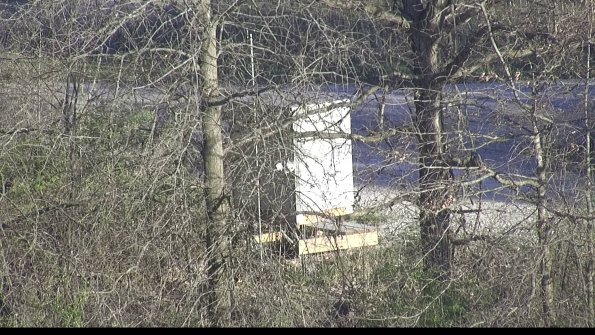 capture-1-23-04-15_19-04-26-51