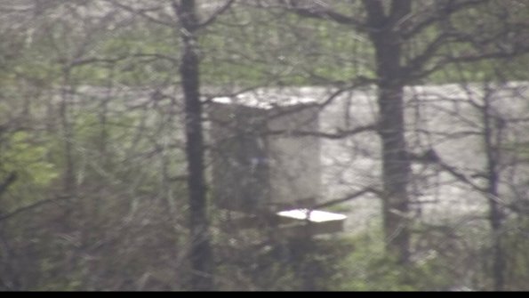 capture-1-23-04-19_10-49-03-62