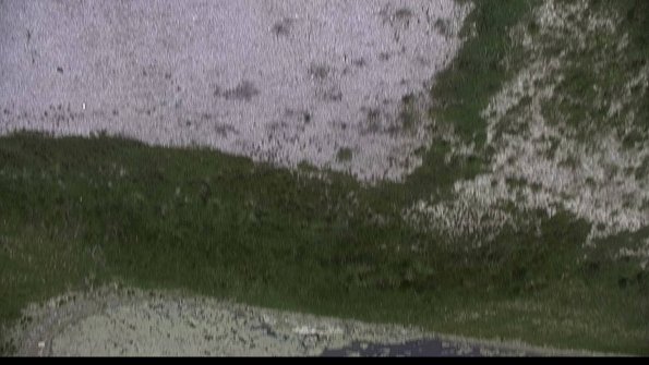 capture-14-23-05-15_12-07-43-64