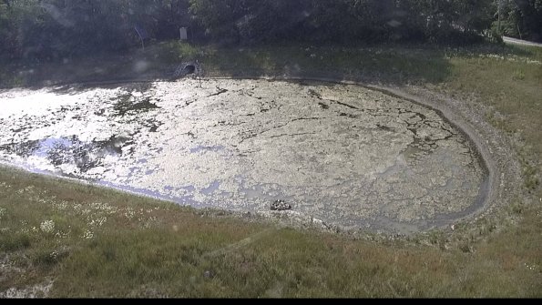 capture-14-23-06-10_09-53-29-20