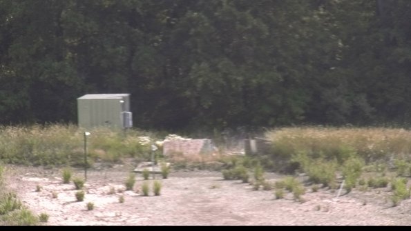 capture-19-23-06-10_09-54-16-75