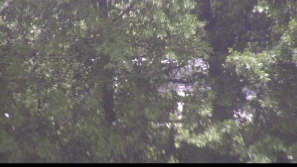 capture-1-23-06-19_13-18-44-84