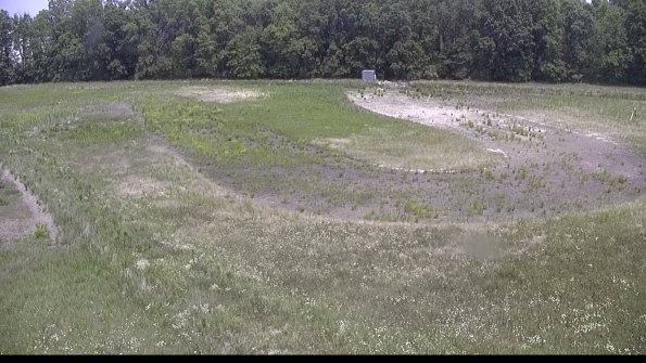 capture-11-23-06-19_13-17-31-66