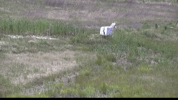 capture-7-23-06-19_13-17-58-86