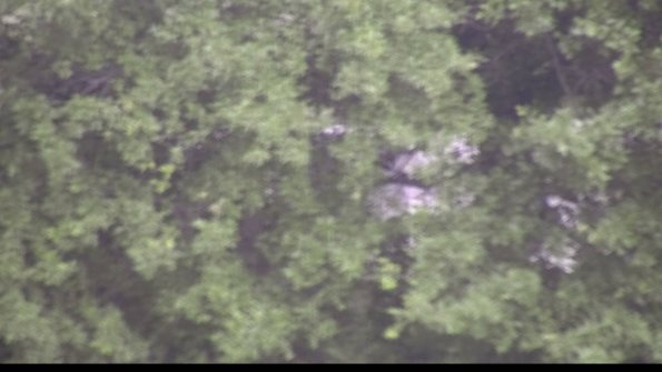 capture-1-23-06-22_18-12-31-66