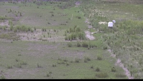 capture-10-23-06-22_18-12-46-11