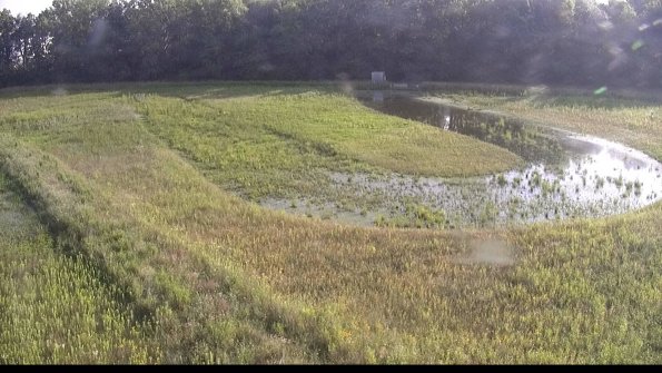 capture-11-23-07-05_08-18-06-35