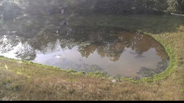 capture-14-23-07-05_08-18-24-93