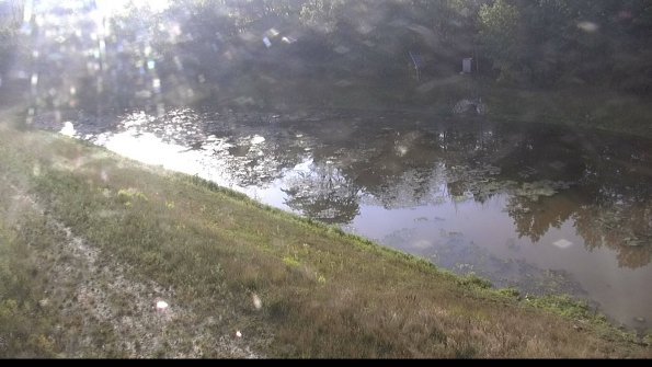 capture-15-23-07-05_08-18-19-36