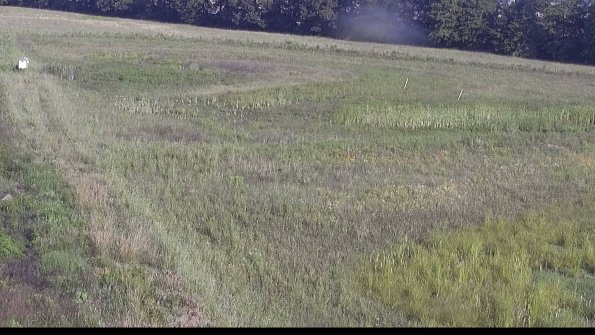 capture-5-23-07-05_08-17-43-56