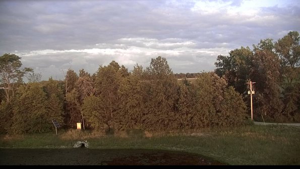 capture-21-23-07-08_20-50-11-15