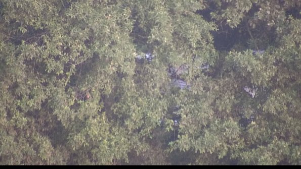 capture-1-23-07-27_20-36-56-48