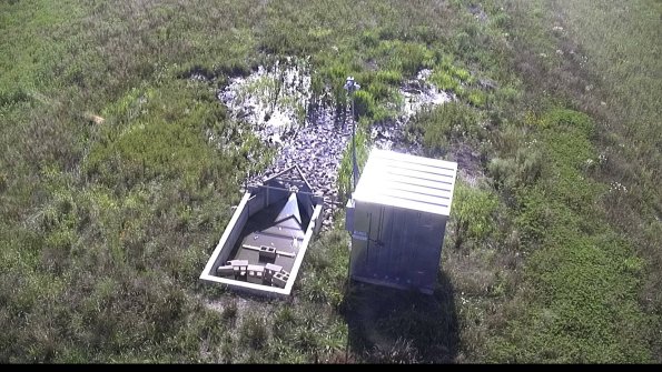 capture-20-23-07-28_17-37-51-34