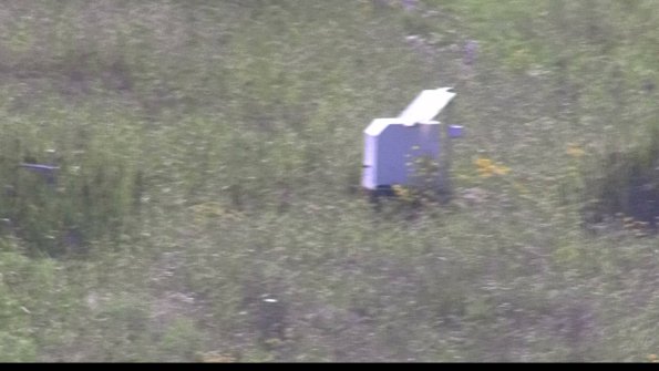 capture-4-23-07-28_17-04-38-24