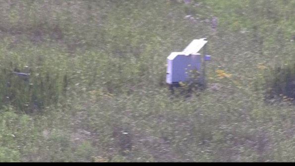 capture-4-23-07-28_17-15-28-76