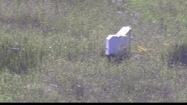 capture-4-23-07-28_17-34-57-93