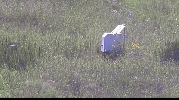 capture-4-23-07-28_17-37-09-06