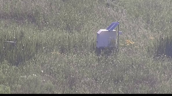 capture-4-23-07-28_19-13-18-61