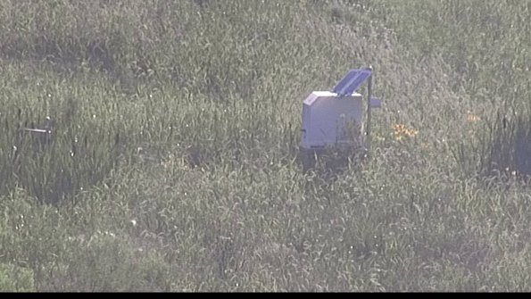 capture-4-23-07-28_19-24-09-93